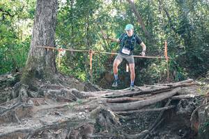 BIB: 
                            <button type="button" onclick="openModal(27743402)" class="btn btn-primary btn-sm float-right btn-popup" data-toggle="modal" data-target=".modal-high-quality">
                        <i class="fas fa-shopping-cart"></i> Add to Cart
                    </button>
                                            <button type="button" onclick="isThisMe(27743402, true)" class="btn btn-success btn-sm float-right btn-popup btn-isme hidden" data-toggle="tooltip" data-placement="bottom" title="นี่คือรูปของคุณใช่ไหม คลิกที่นี่เพื่อเอาเข้าอัลบั้ม">
                        <i class="fas fa-plus"></i> Add to album
                    </button>
                    <button type="button" onclick="isThisMe(27743402, false)" class="btn btn-warning btn-sm float-right btn-popup btn-isnotme hidden">
                        <i class="fas fa-ban"></i> Remove from album
                    </button>